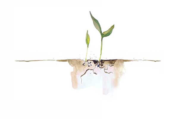 The Free Folk Project has planted the seed to grow a new world..