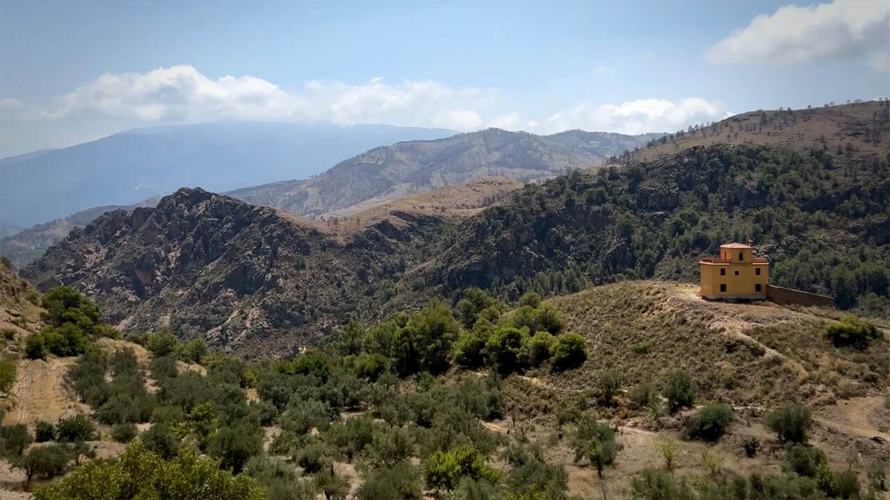Click to watch The Land video Thumbnail of The Land video