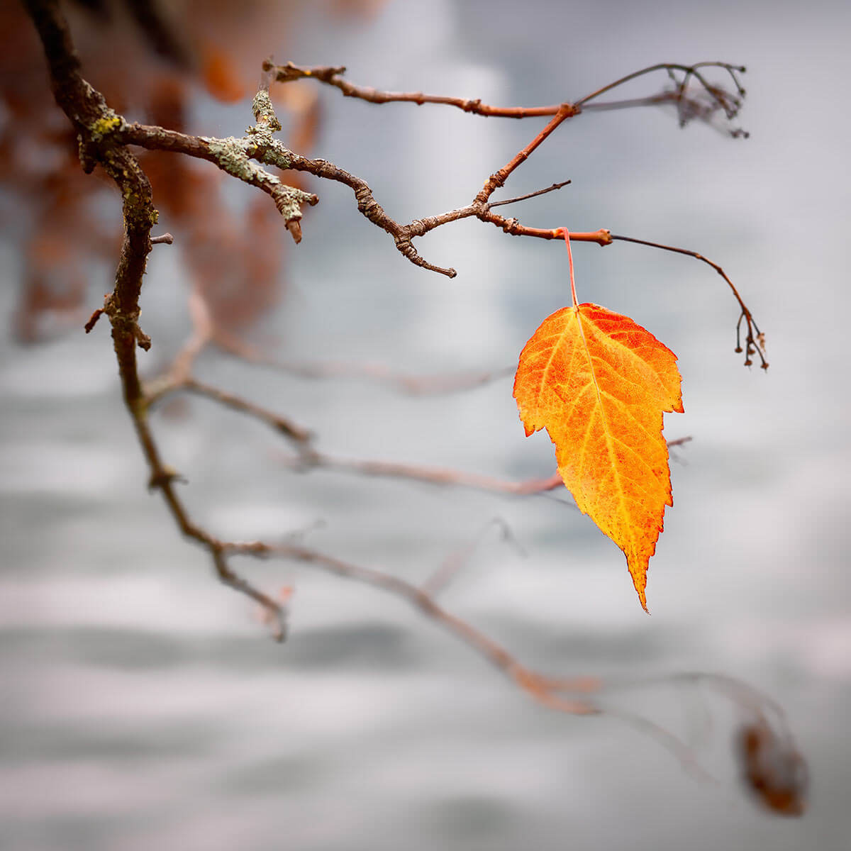 Photo by Simon Berger on Unsplash.com